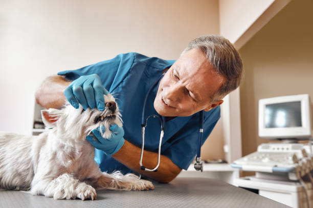 Best Walk-In Emergency Dentist in Providence, RI